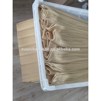 Factory Manufacturer hot sale seamless Flip fish Wire human Hair Extension Halo